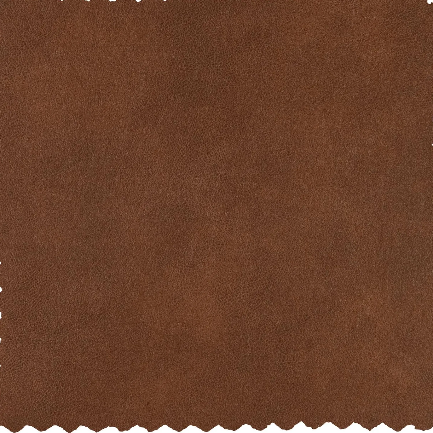 Best WOOOD Statement XL 4-zits bank 372 cm ecoleer Cognac